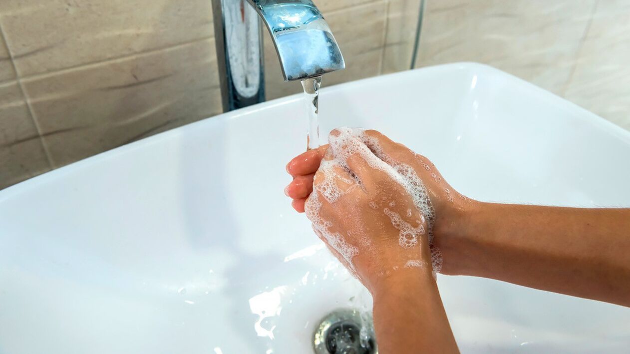 Najjednostavnije pravilo za sprječavanje helmintoze je uvijek prati ruke sapunom i vodom. 